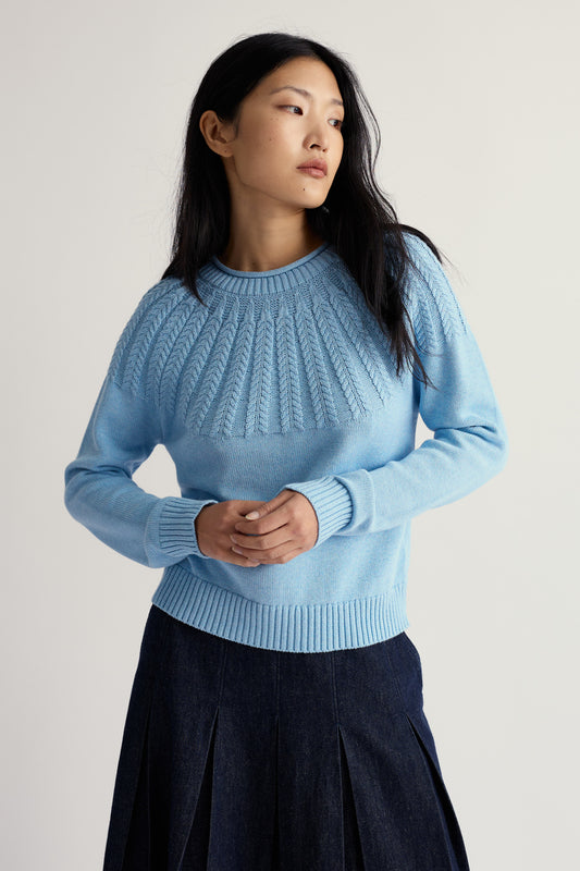 Pull en coton biologique Traquet motteux